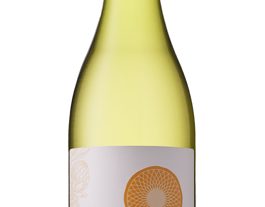 [Indaba] Chenin Blanc 2024