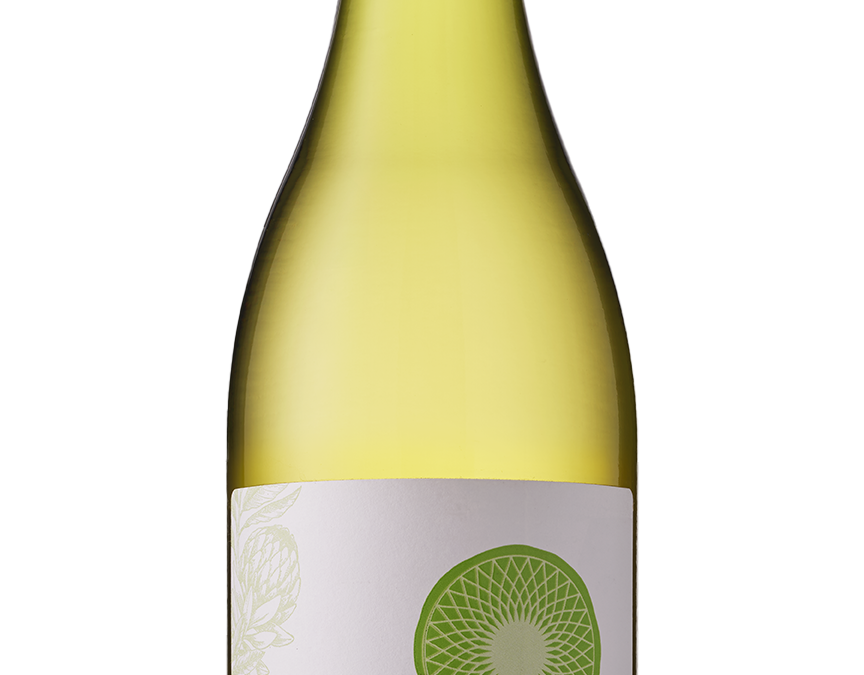 [Indaba] Sauvignon Blanc 2023