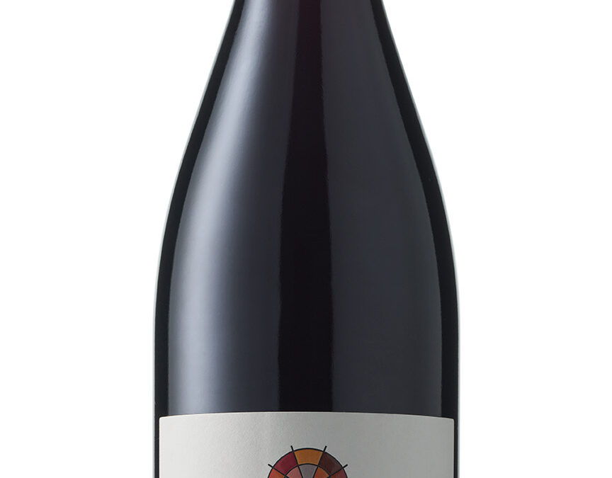 [Clos du Vieux Bourg] Chénas Au Bois Retour 2020