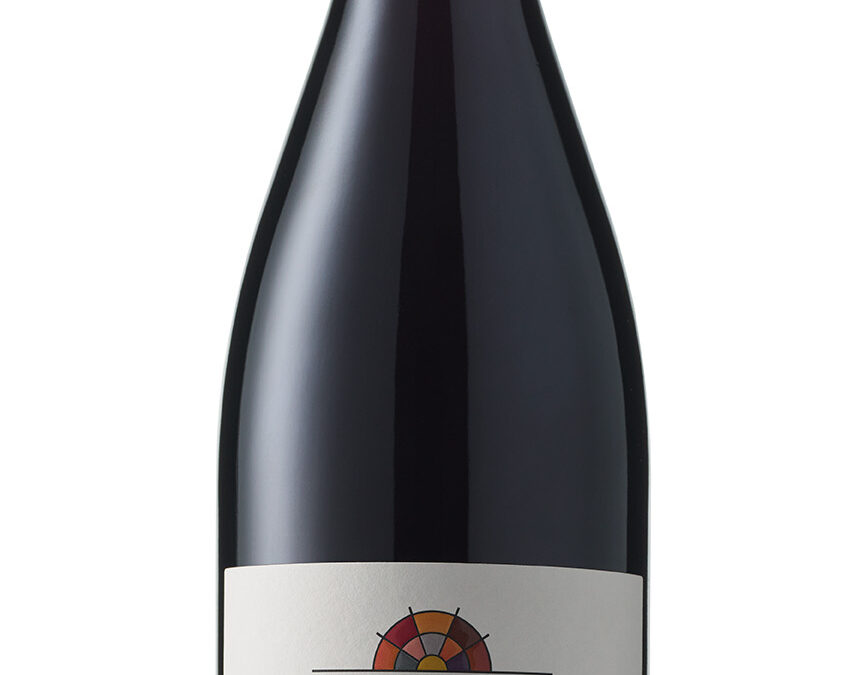 [Clos du Vieux Bourg] Morgon Javernières 2020