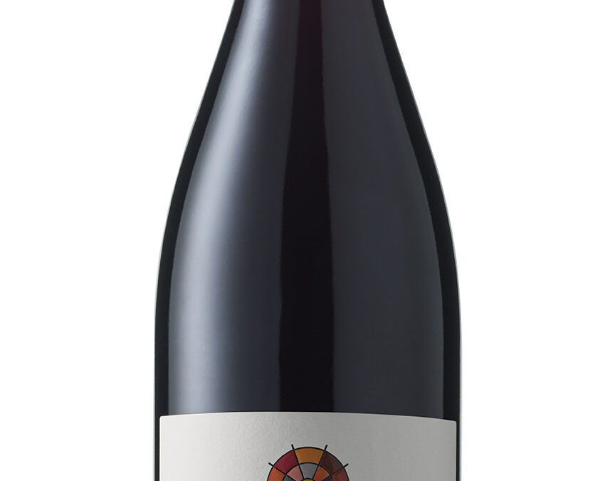 [Clos du Vieux Bourg] Morgon Cinq Terres 2021